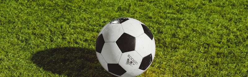 海湾球场内部坐满观众的盛大比赛场景